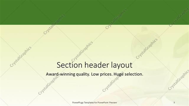 Section Header presentation slide layout