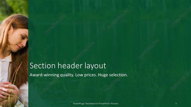 Section Header presentation slide layout