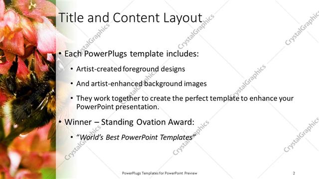 Title and Content presentation slide layout