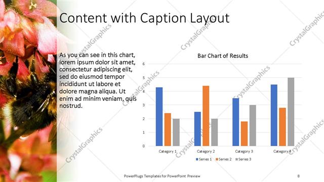 Content with Caption presentation slide layout