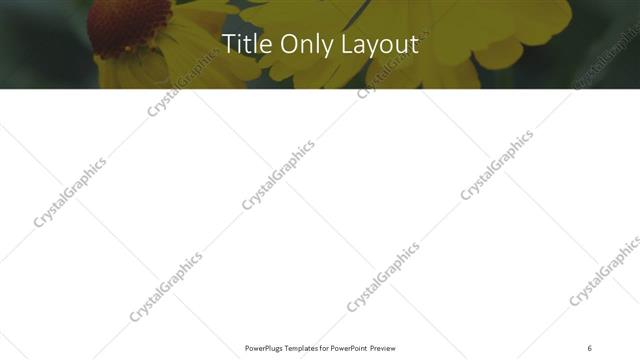 Title Only presentation slide layout