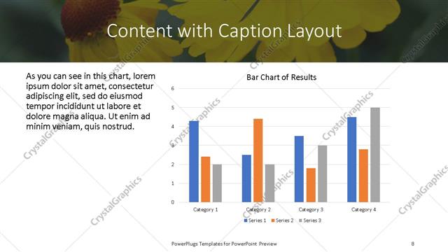 Content with Caption presentation slide layout