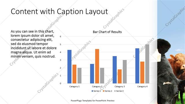 Content with Caption presentation slide layout