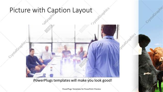 Picture with Caption presentation slide layout