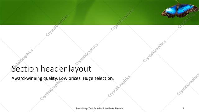Section Header presentation slide layout