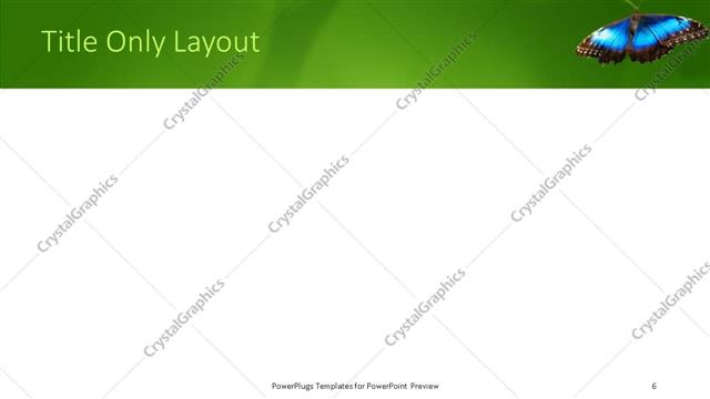 Title Only presentation slide layout