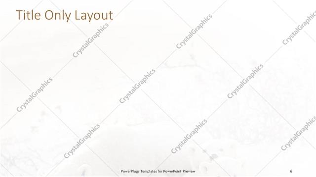 Title Only presentation slide layout