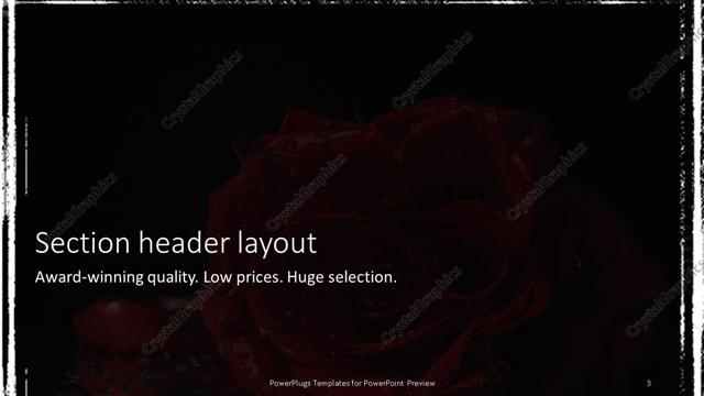 Section Header presentation slide layout