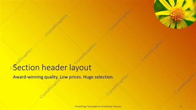 Section Header presentation slide layout