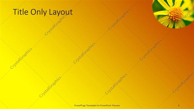 Title Only presentation slide layout