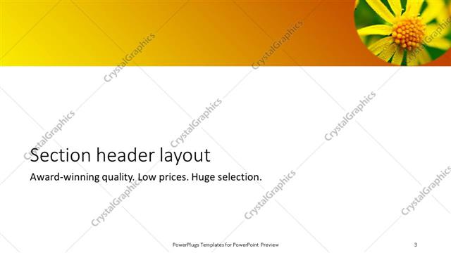 Section Header presentation slide layout