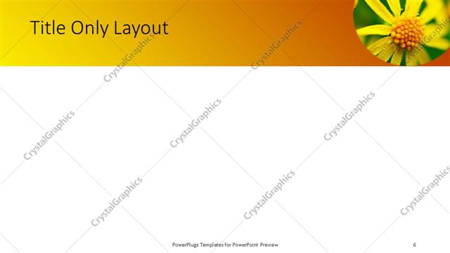 Title Only presentation slide layout