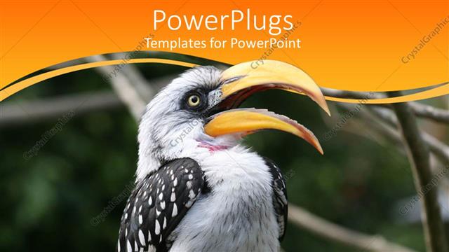  Presentation with mouth - A bird with its beak open and greenery in the background