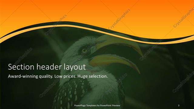Section Header presentation slide layout