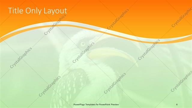 Title Only presentation slide layout