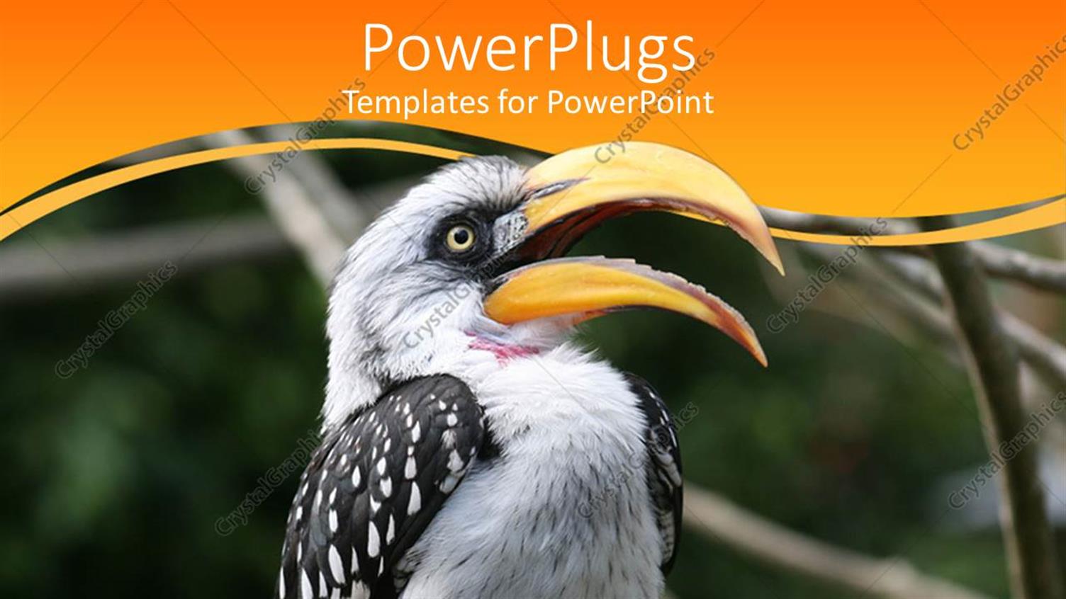 Premium Template for PowerPoint & Google Slides 