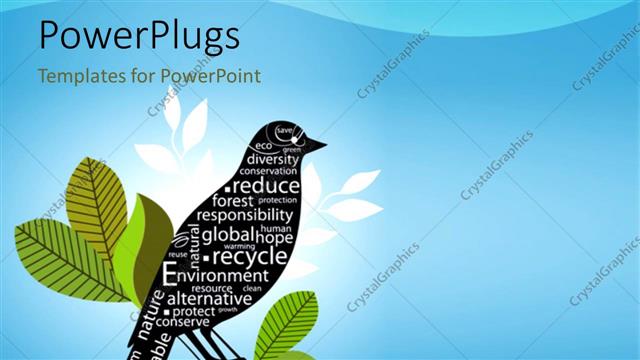  Presentation with branch - A bird on a branch with bluish background