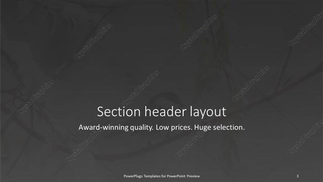 Section Header presentation slide layout