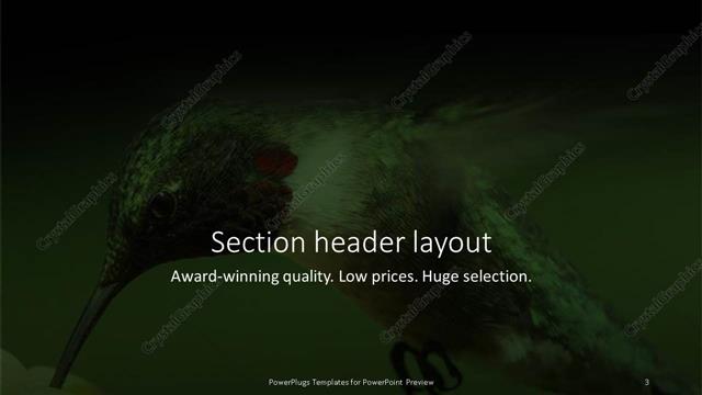 Section Header presentation slide layout