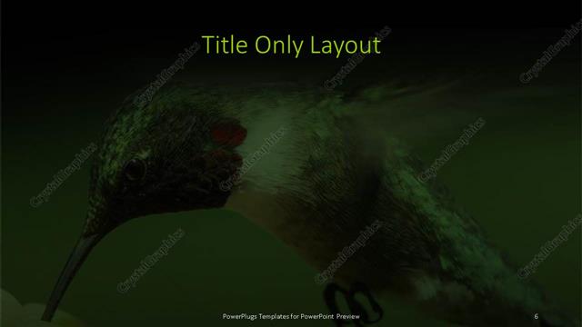 Title Only presentation slide layout