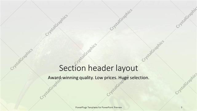 Section Header presentation slide layout