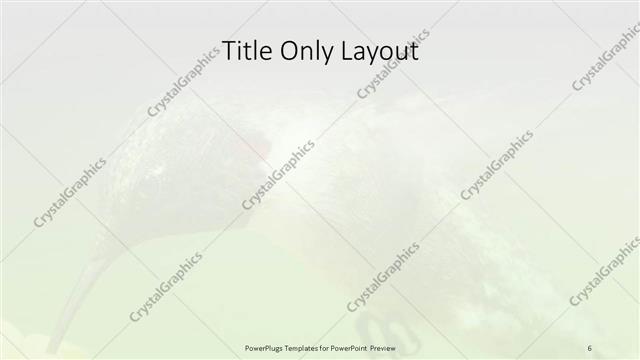 Title Only presentation slide layout