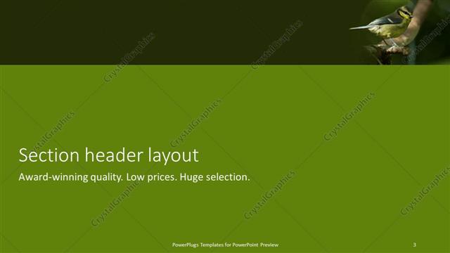Section Header presentation slide layout