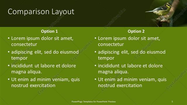 Comparison presentation slide layout