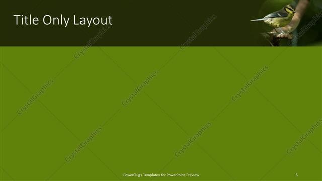 Title Only presentation slide layout