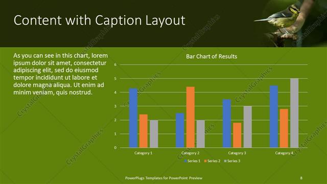 Content with Caption presentation slide layout