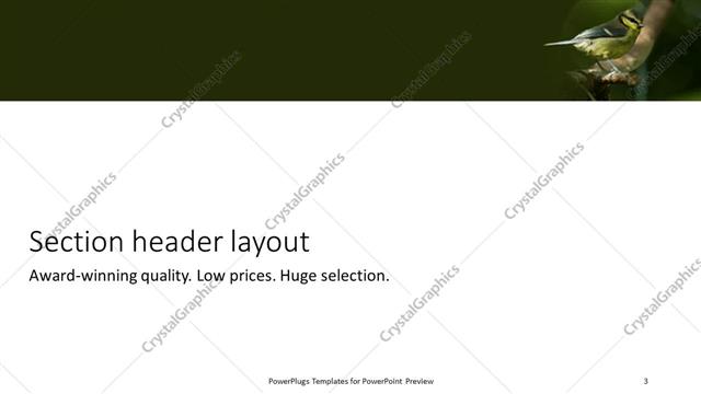 Section Header presentation slide layout