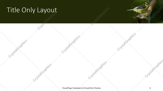 Title Only presentation slide layout