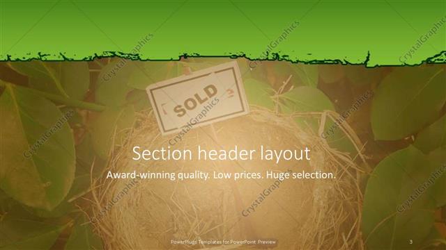 Section Header presentation slide layout