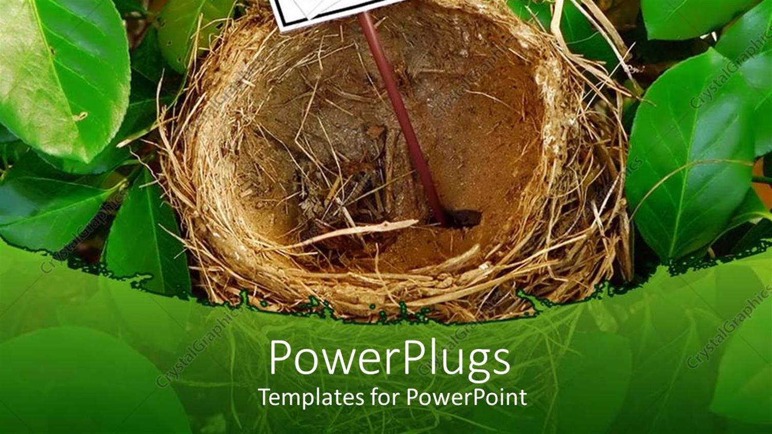 Premium Template for PowerPoint & Google Slides 