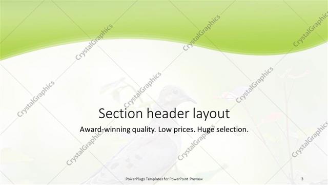 Section Header presentation slide layout