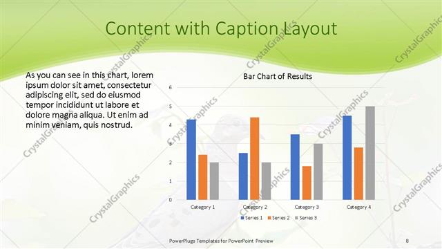 Content with Caption presentation slide layout