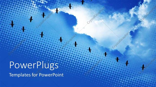  Presentation with birds flying - Birds flying in V formation, blue sky