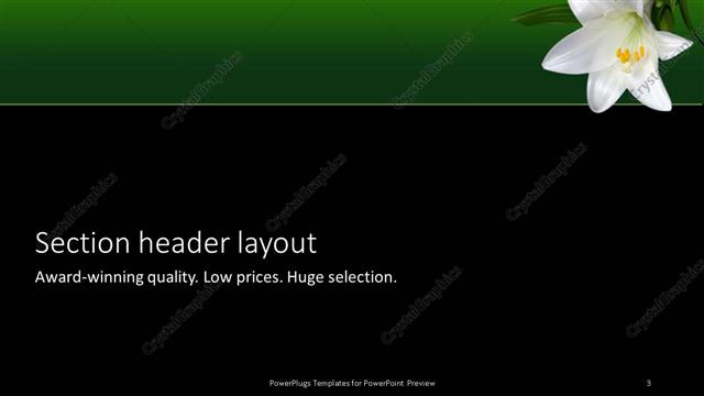Section Header presentation slide layout