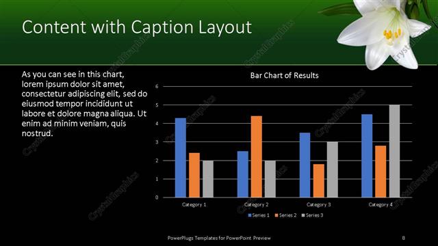Content with Caption presentation slide layout