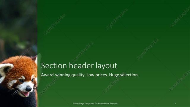 Section Header presentation slide layout