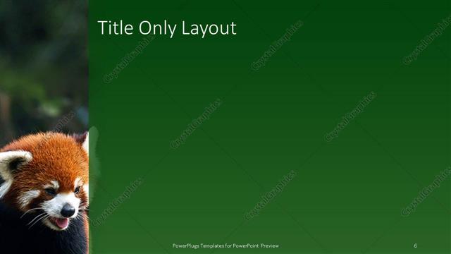 Title Only presentation slide layout