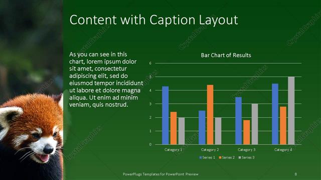 Content with Caption presentation slide layout