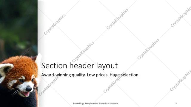 Section Header presentation slide layout
