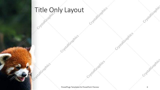 Title Only presentation slide layout