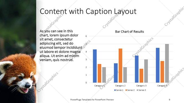Content with Caption presentation slide layout
