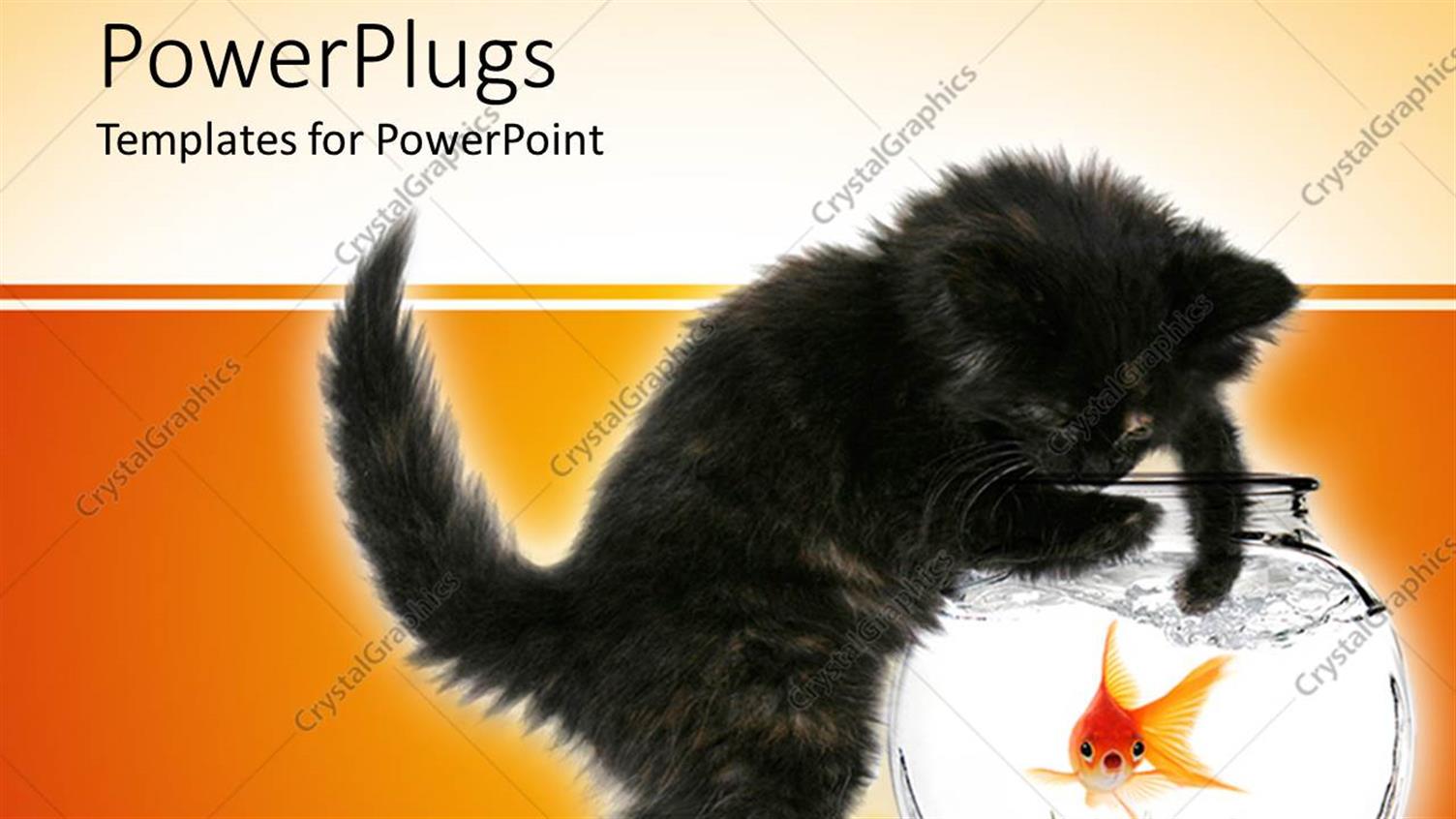 Premium Template for PowerPoint & Google Slides 