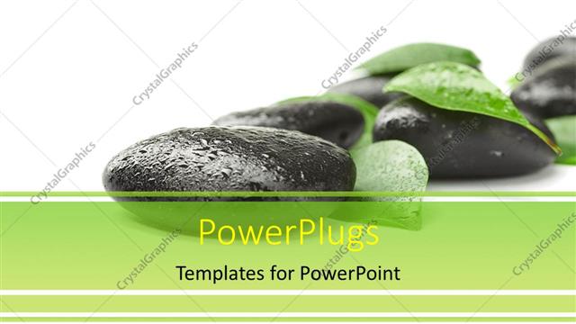  Presentation with stone - Spa depiction with water droplets on stones and green leaves