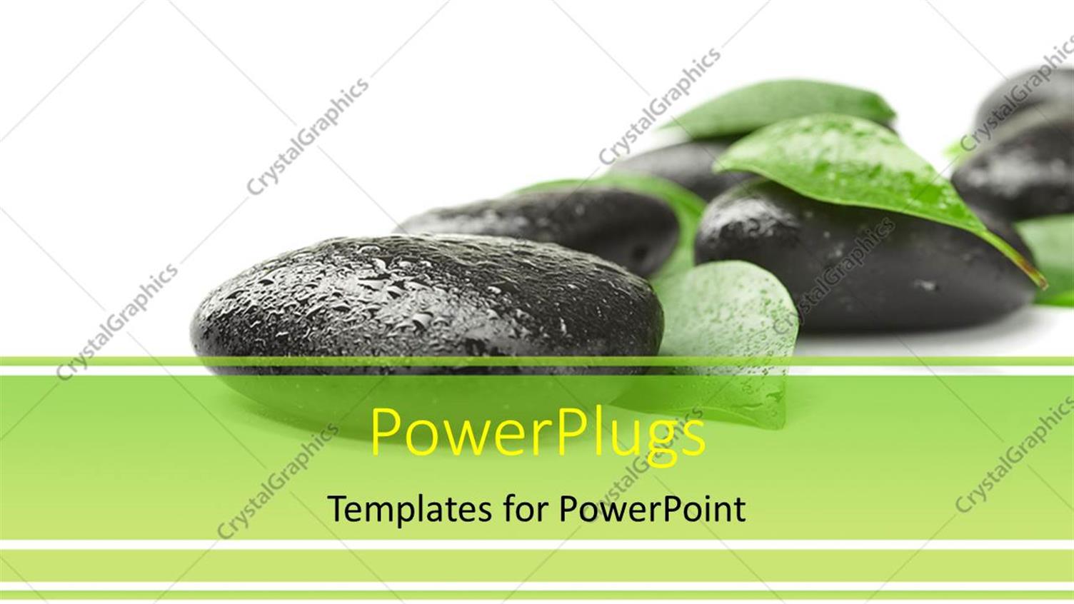 Premium Template for PowerPoint & Google Slides 