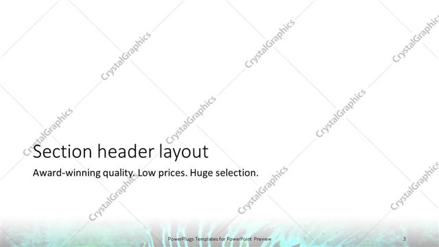 Section Header presentation slide layout