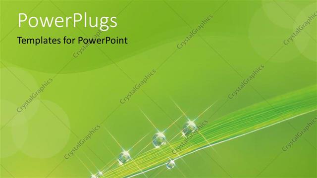  Presentation with blade - Blade of grass with drops of dew, green background